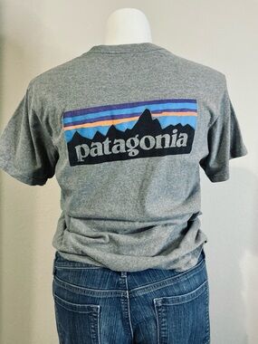 Patagonia Heather Gray Tee with Purple, Blue and Orange Stripes
